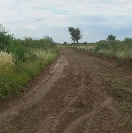 Hermosos Lotes a La Venta en San Javier - 3