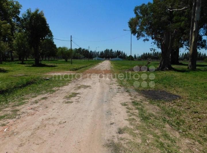 Venta Lote Terreno en Chascomus Chacra Campo Laguna - 5