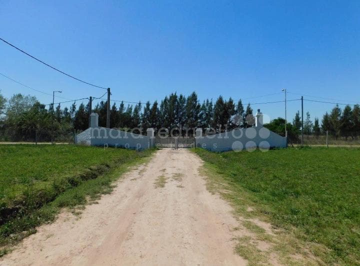 Venta Lote Terreno en Chascomus Chacra Campo Laguna - 4