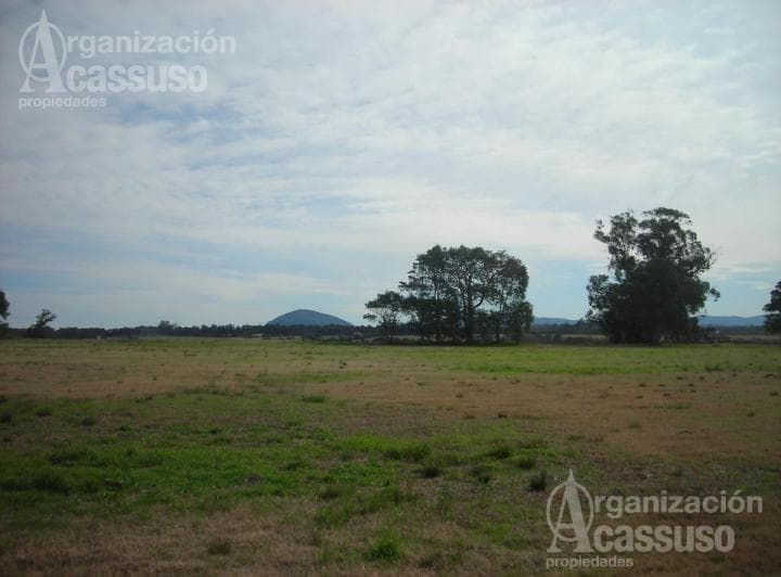 Laguna de Los Cisnes - Lote Venta 5430 m² - 5