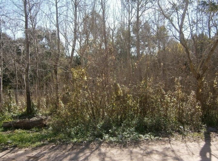 Lote en Paseo del Bosque Manzana 163 Lote 11. Financiado en 60 Cuotas - 3