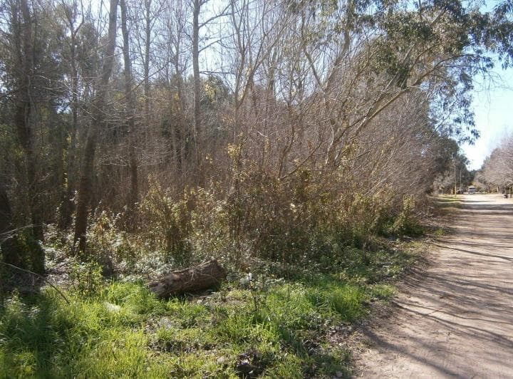 Lote en Paseo del Bosque Manzana 163 Lote 11. Financiado en 60 Cuotas - 2