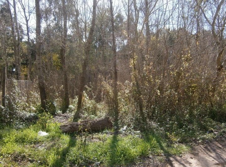 Lote en Paseo del Bosque Manzana 163 Lote 11. Financiado en 60 Cuotas - 4