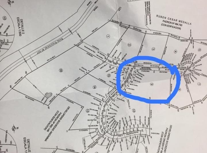 Venta Importante Lote en Loteo El Pinar, Tafí del Valle - 5