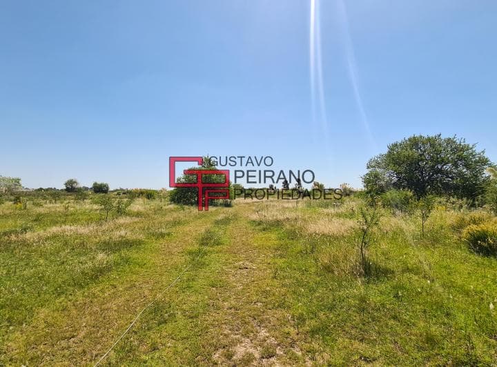 Campo en Venta 11 Hectáreas Dique Luján, Tigre. Excelente Ubicación. - 5