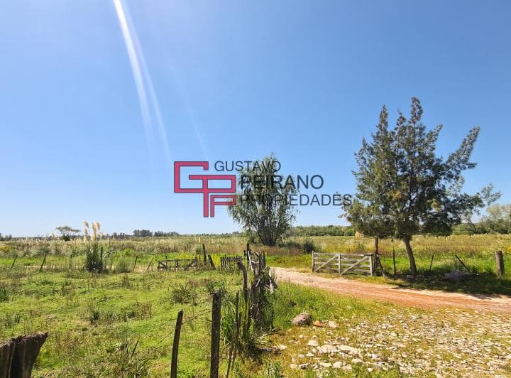Campo en Venta 11 Hectáreas Dique Luján, Tigre. Excelente Ubicación. - 3