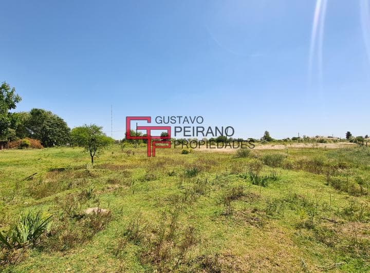 Campo en Venta 11 Hectáreas Dique Luján, Tigre. Excelente Ubicación. - 2