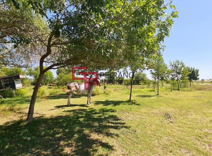 Campo en Venta 11 Hectáreas Dique Luján, Tigre. Excelente Ubicación. - 4