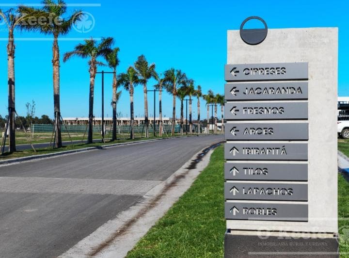 Lote en Venta en Puerto Nizuc - Oportunidad de Inversión en Guillermo Hudson - 5