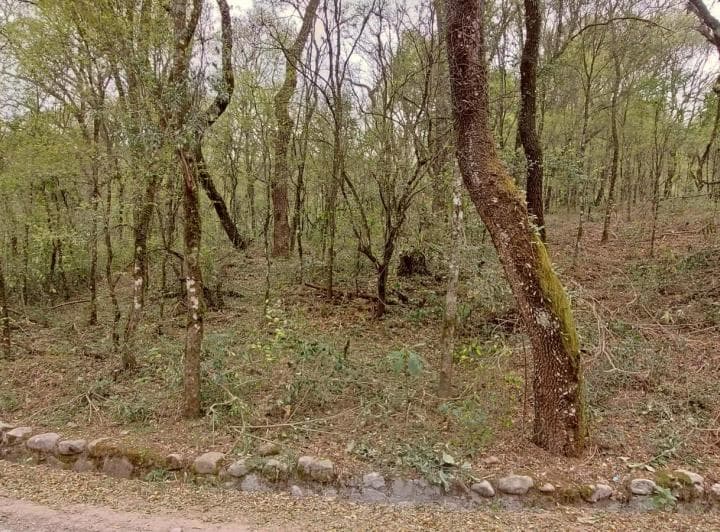 En Venta Terreno - Eco Urbanización Horco Molle Bº Los Perales - 4