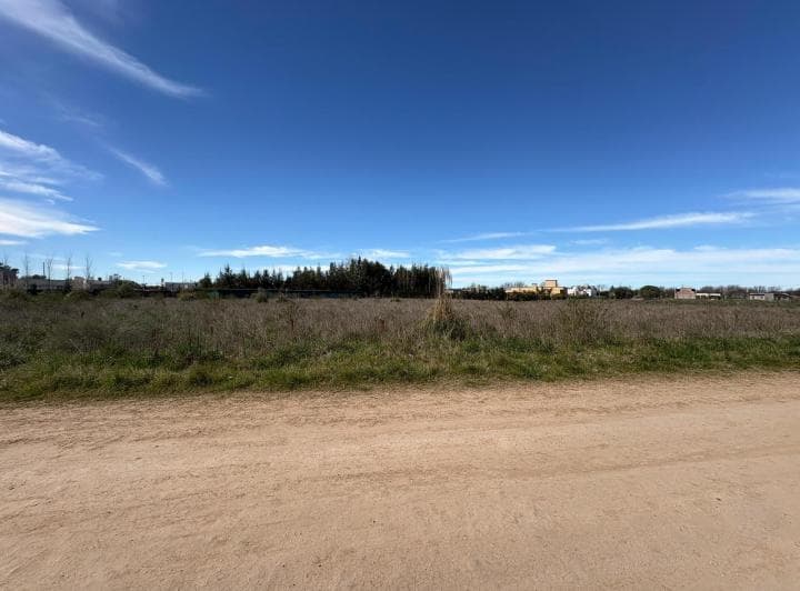 Venta Terreno Barrio Vinelli - Lobos - 4