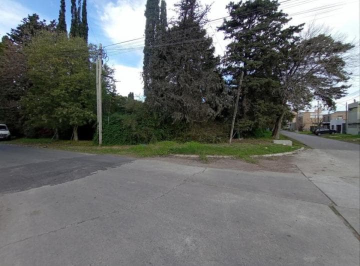 Lote en Venta en San Carlos - 5