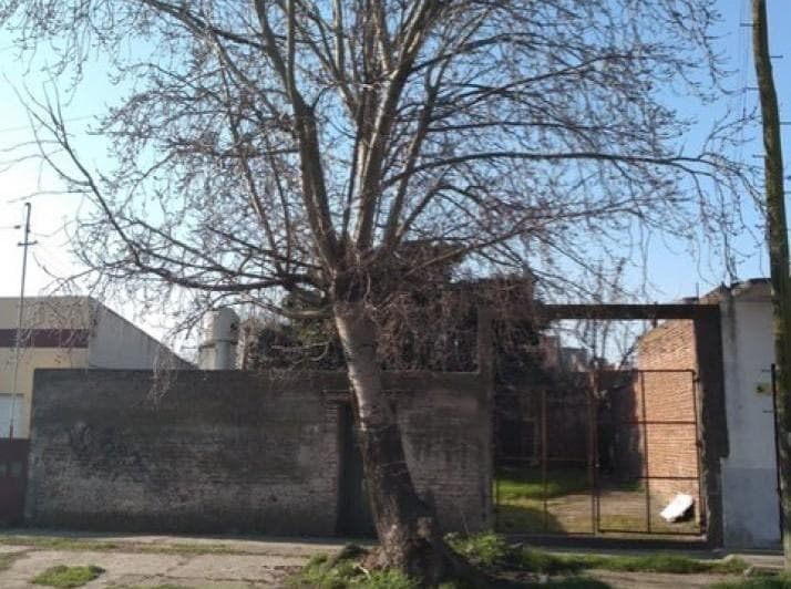 Lote con Todos Los Servicios y Sobre Asfalto - Barrio 9 de Julio - 3