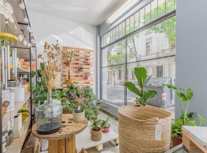 Local - San Telmo - Local a La Calle con Subsuelo 183,82 m² Totales. - 3