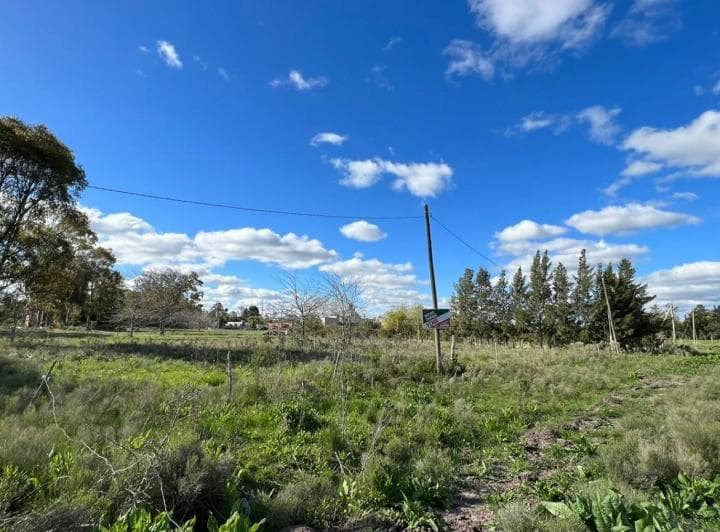 Lote en Veronica 12 X 60 - 4