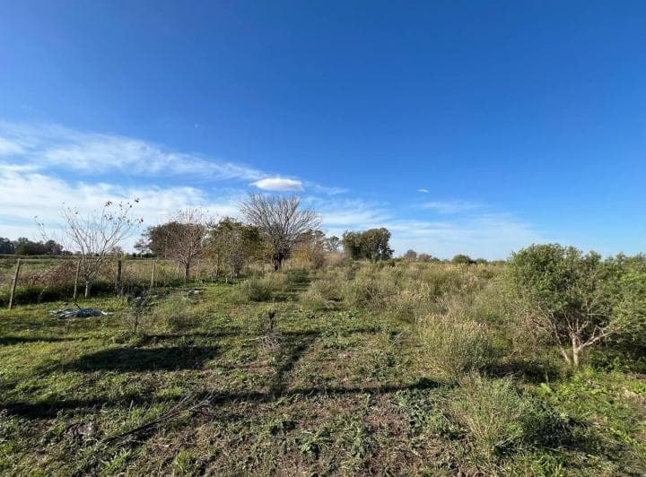 Venta/permuta de Lote Comercial 7700 m² Sobre Ruta N5. - 5