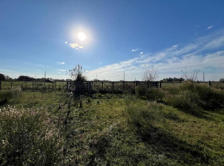 Venta/permuta de Lote Comercial 7700 m² Sobre Ruta N5. - 4