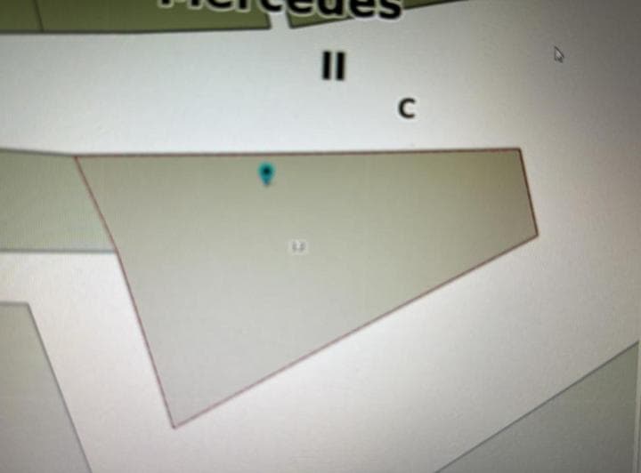 Terreno de 2 Ha en Calle 156 y 4 (Entre Las Vías) ¡Retasado - 4
