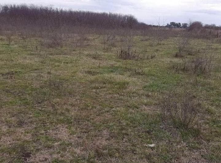 Terreno de 2 Ha en Calle 156 y 4 (Entre Las Vías) ¡Retasado - 2