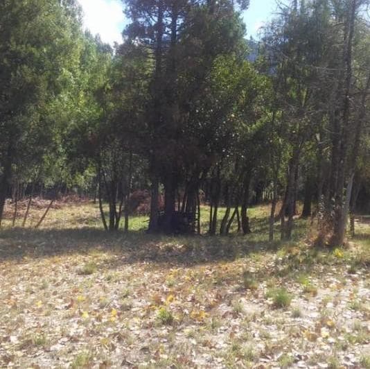 Importante Lote de Terreno en Lago Puelo - Chubut - 5
