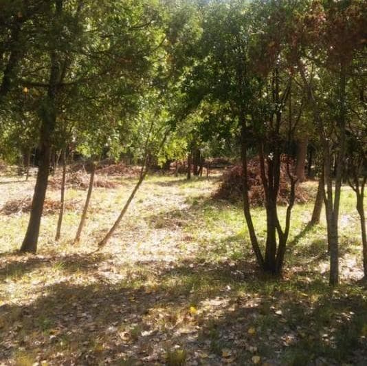 Importante Lote de Terreno en Lago Puelo - Chubut - 4