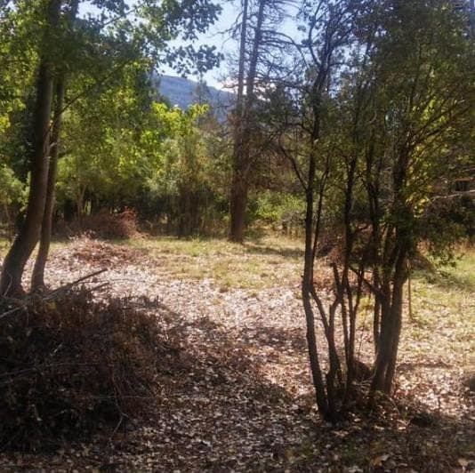 Importante Lote de Terreno en Lago Puelo - Chubut - 3