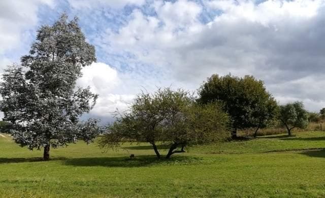 Lotes en El Buen Aire 5000 m&sup2; El Buen Aire Ascochinga - 2
