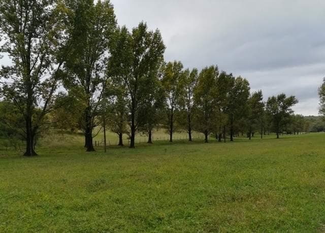 Lotes en El Buen Aire 5000 m&sup2; El Buen Aire Ascochinga - 4