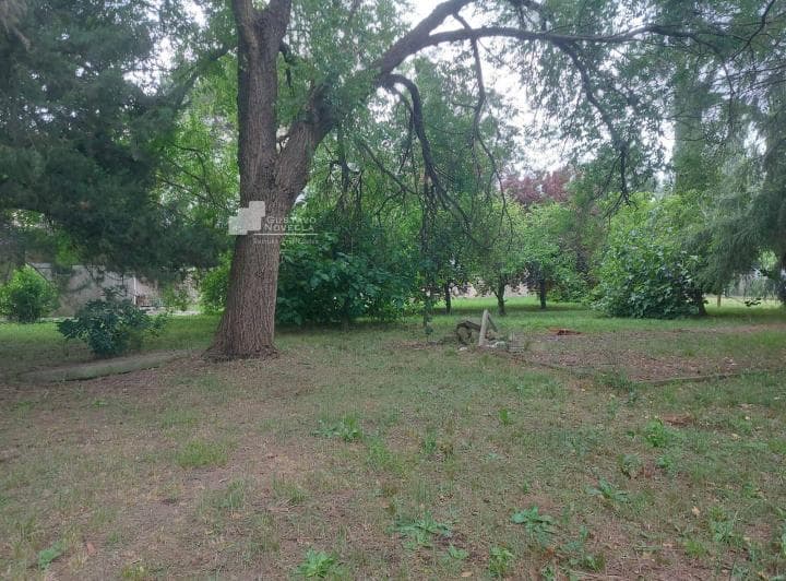 Lotes de Terreno en Venta - 5