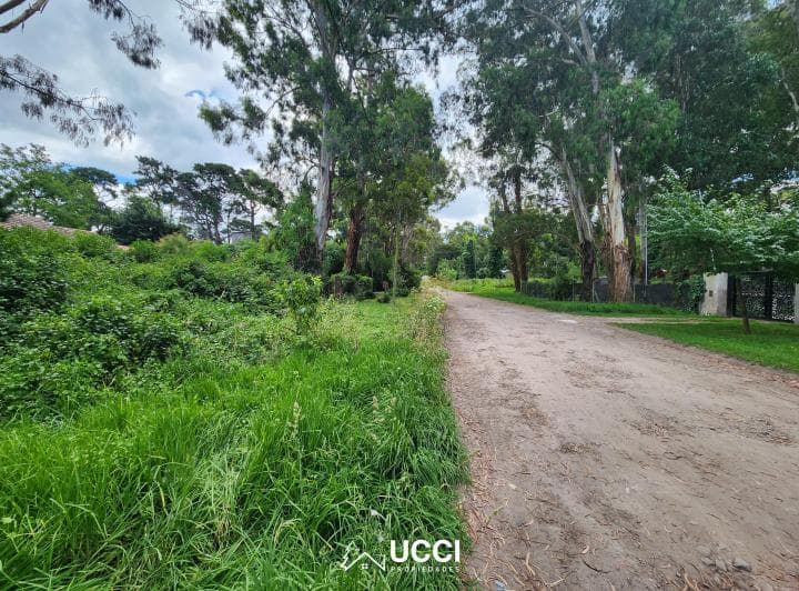 Venta Unica de Lotes de Terreno. Bosque Peralta Ramos. - 3