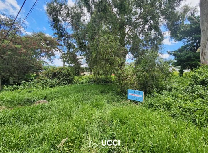 Venta Unica de Lotes de Terreno. Bosque Peralta Ramos. - 4