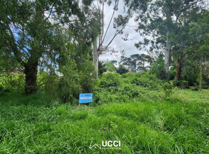 Venta Unica de Lotes de Terreno. Bosque Peralta Ramos. - 2