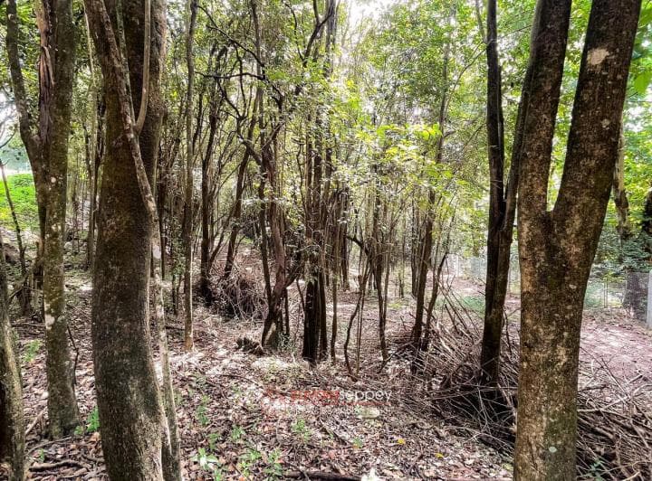 Terreno en Venta en Estancia San Miguel - 1270 m&sup2; - Ideal Para Construir - 5