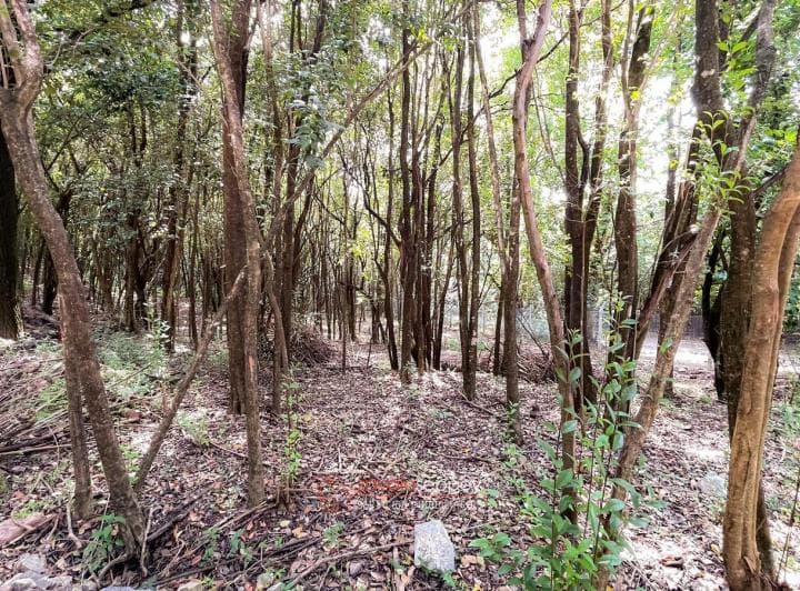 Terreno en Venta en Estancia San Miguel - 1270 m&sup2; - Ideal Para Construir - 2