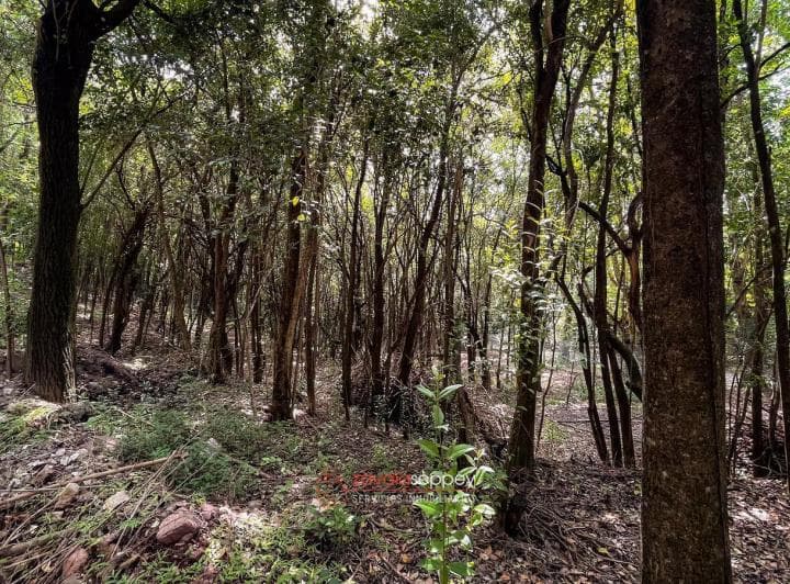 Terreno en Venta en Estancia San Miguel - 1270 m&sup2; - Ideal Para Construir - 4