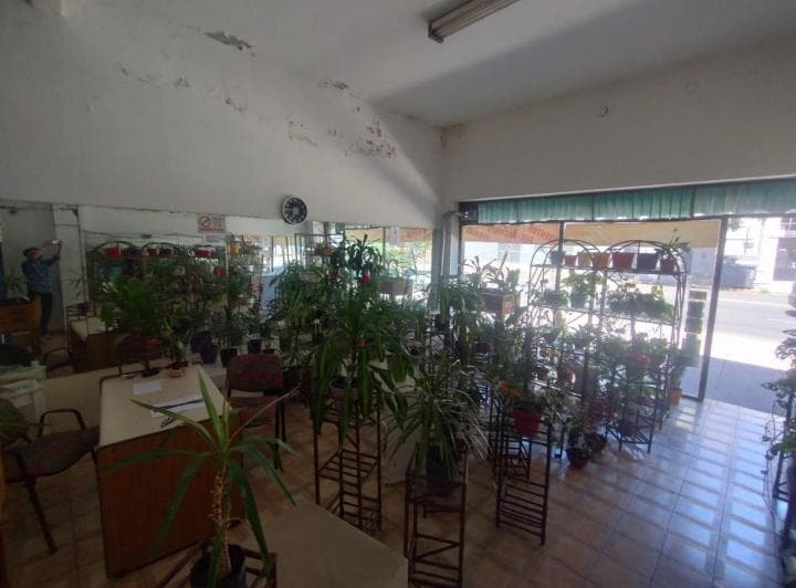 Venta PH con Local a La Calle, Gran Terraza, 175 m² Totales - 4