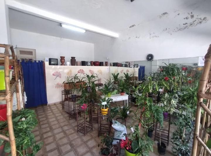 Venta PH con Local a La Calle, Gran Terraza, 175 m² Totales - 3
