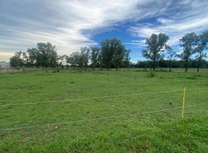 Venta de Terreno en Mercedes Ruta 5 - 4