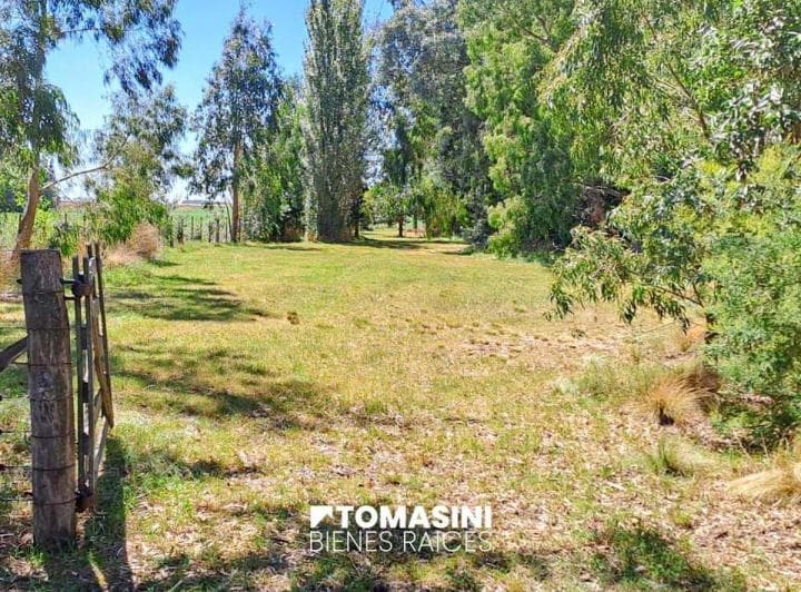 Campo Agricola en Venta - 12 Ha en Necochea - 4