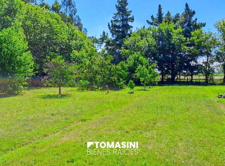 Campo Agricola en Venta - 12 Ha en Necochea - 2
