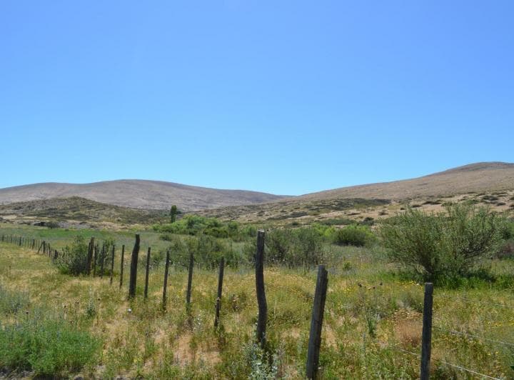Campo de 11250 Ha en Venta - Colipilli - Neuquen - 3