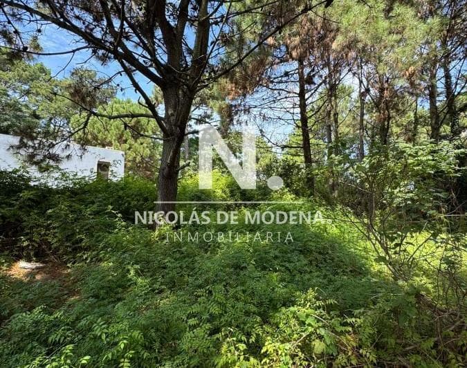Vende Terreno en Lugano, Punta del Este - 2