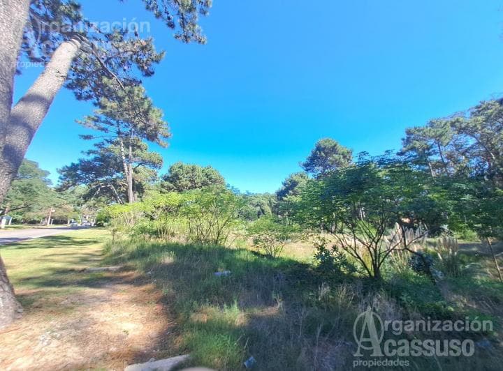 Terreno - Sobre Av Pedragosa Sierra - 5.951 m² a Pocas Cuadras del Shopping Punta del Este - 2