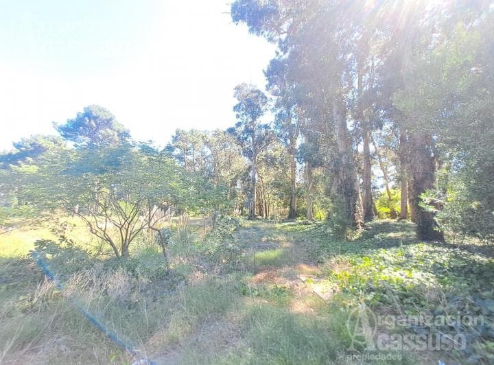 Terreno - Sobre Av Pedragosa Sierra - 5.951 m² a Pocas Cuadras del Shopping Punta del Este - 3