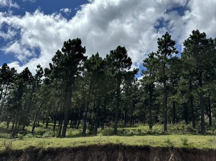 Venta Lote Pinar de Los Ciervos - 5