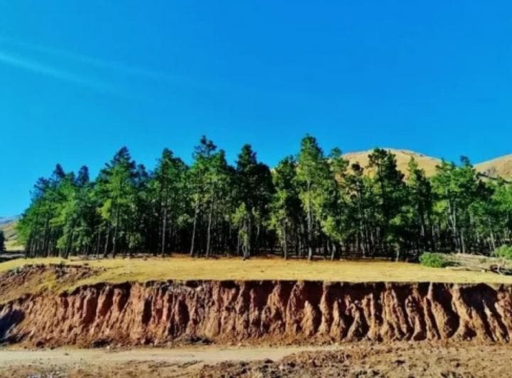 Venta Lote Pinar de Los Ciervos - 3