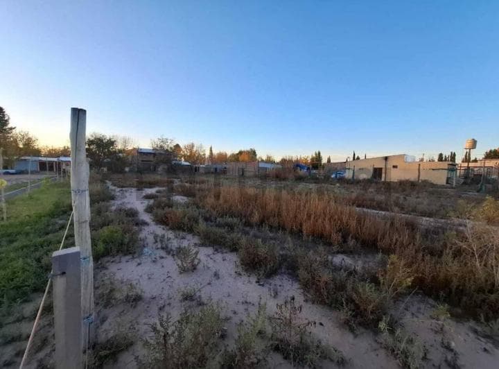 Terreno en Venta en Perdriel, Luján de Cuyo - 4