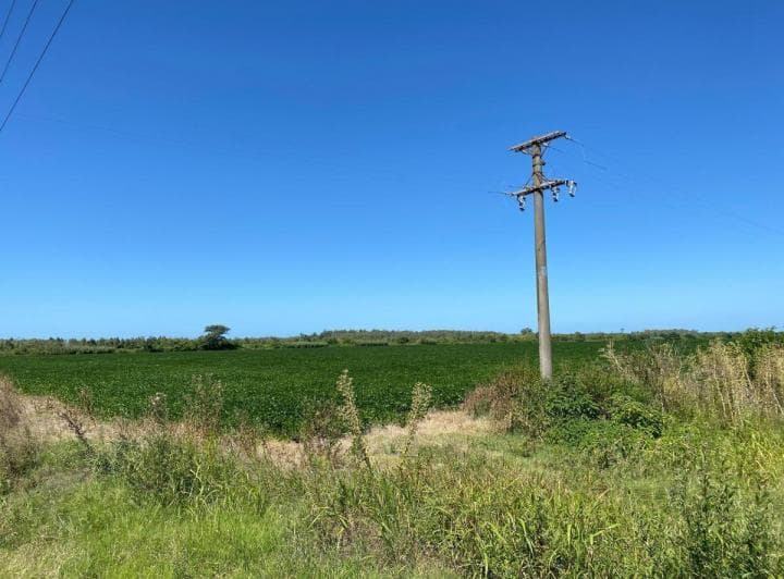 3.2 Ha Agrícolas - Ramallo - Zona Núcleo - 4