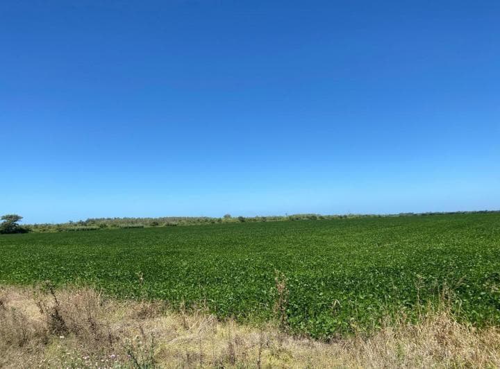 3.2 Ha Agrícolas - Ramallo - Zona Núcleo - 5