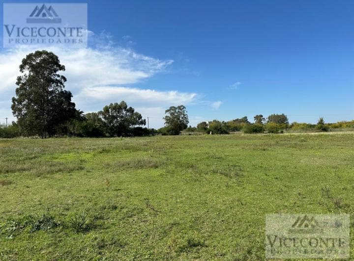 Lote 4322 m&sup2; en Chascomús, Provincia de Buenos Aires - 4